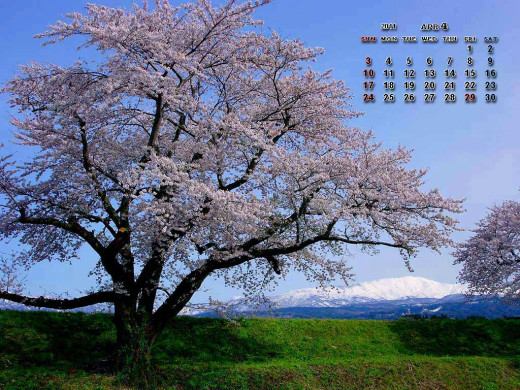 404632 (a): :1024x768